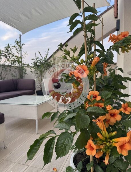 Timpuri Noi | 3 camere | Decomandat | 133mp | B12201